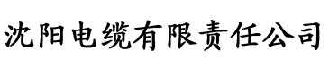 《王子的骑士》电缆厂logo